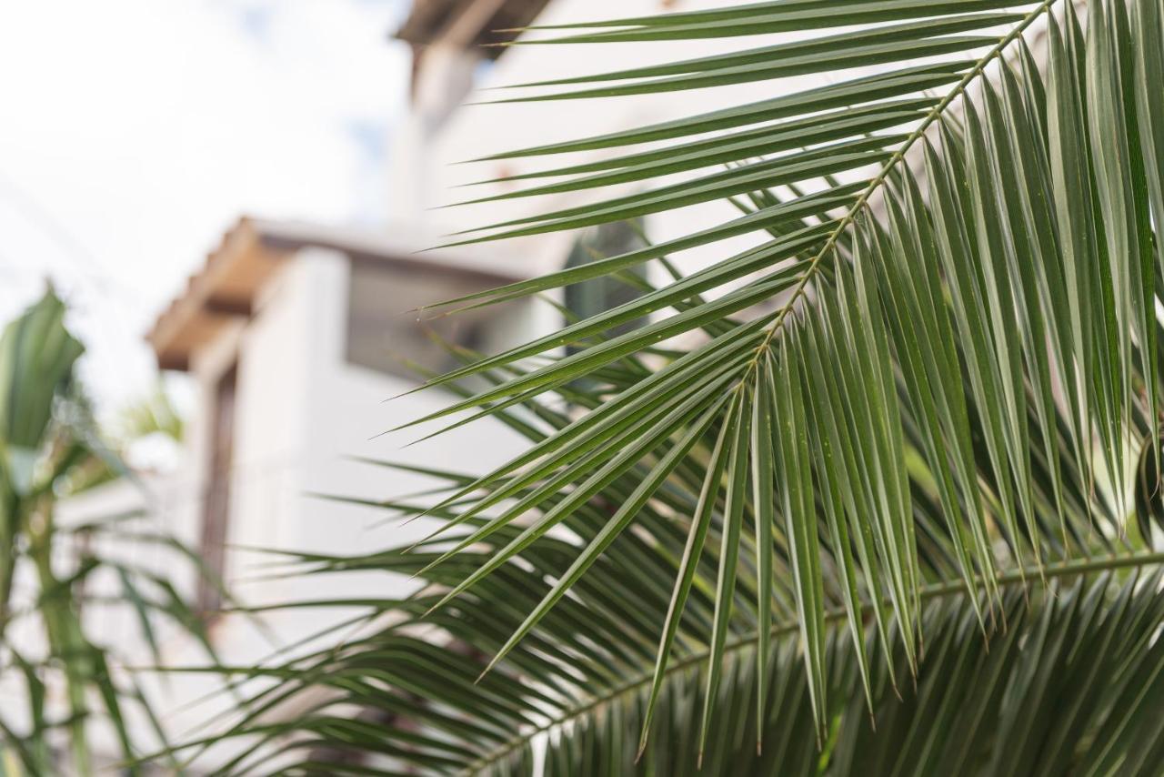 Hostal Pons Palma de Mallorca Zewnętrze zdjęcie