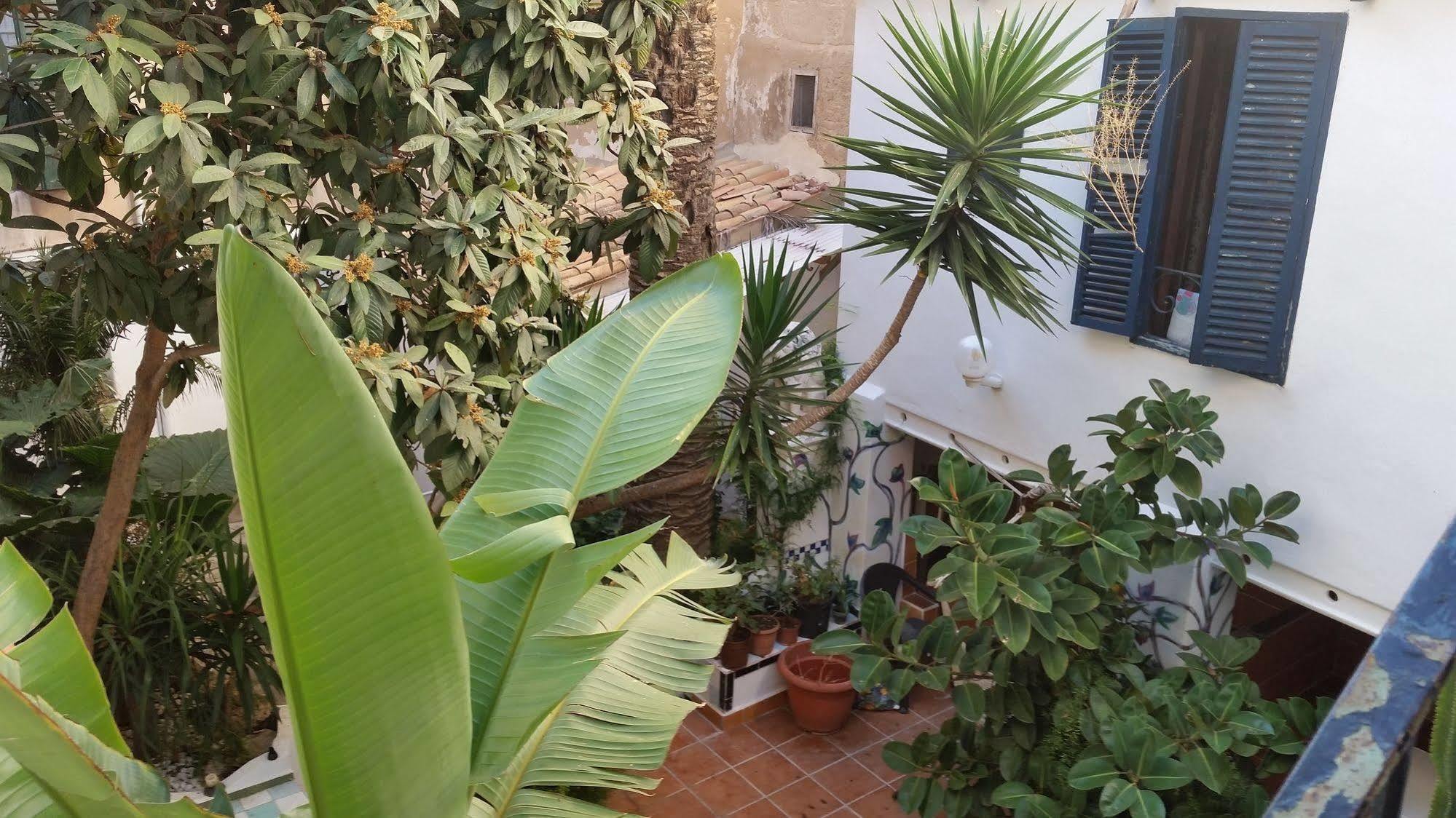 Hostal Pons Palma de Mallorca Zewnętrze zdjęcie
